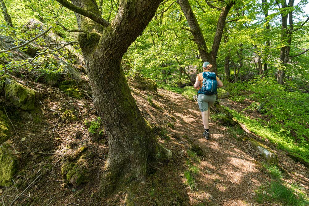wandern-am-wispertalsteig
