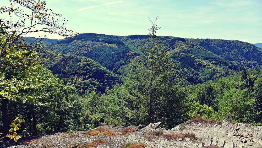 weitblick-am-wispertalsteig