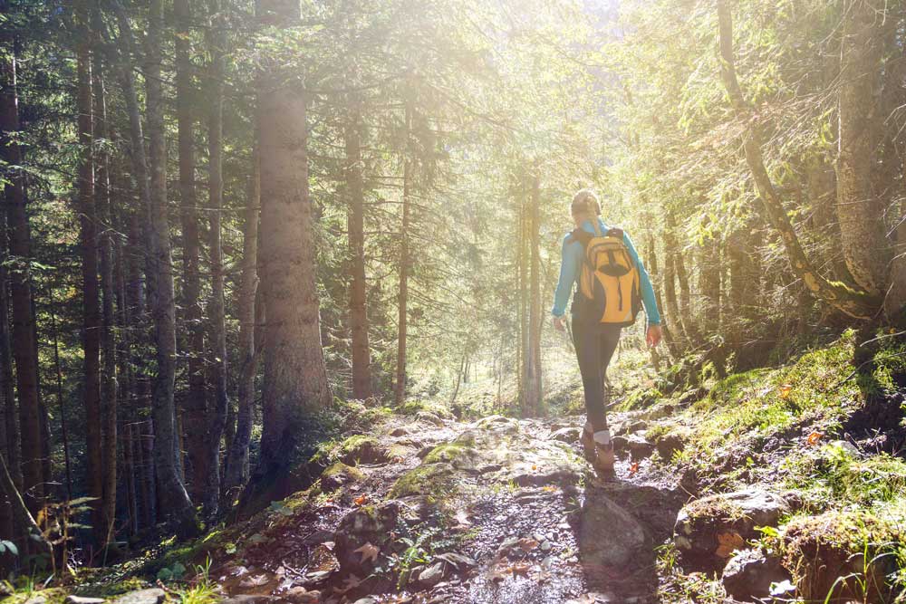 wispertalsteig-wandern
